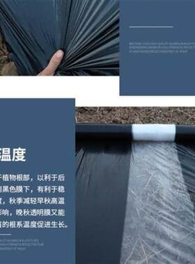 高端地膜黑白色h塑料膜防果防虫保温保湿防虫草园蔬菜瓜果大棚奢