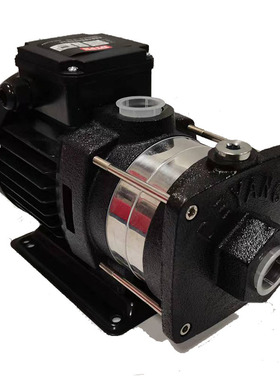 德洋高扬程卧式自吸泵DYE2V20 450KW不锈钢自吸泵 机床冷却泵批发