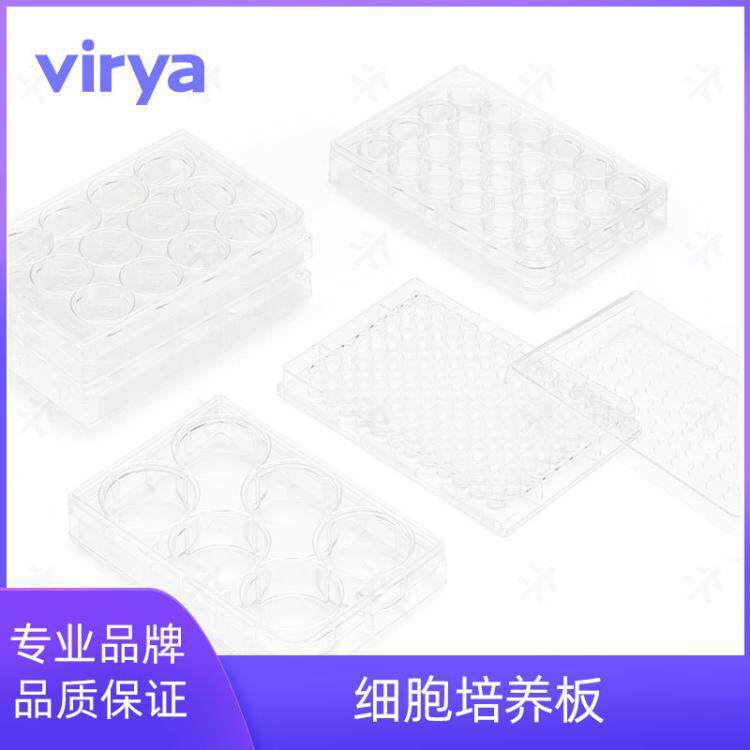 Virya细胞培养板3514809 细胞培养板 等离子处理 48孔板