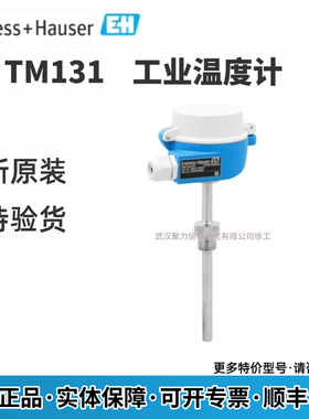 E+H 工业温度计TM131-AACACCB1BX1ACAC2CA1AA1+NQSBTF热电偶