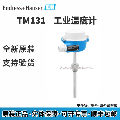 E+H 工业温度计TM131-AACACCB1BX1ACAC2CA1AA1+NQSBTF热电偶