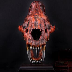 珍藏版电影主题树脂模型1比1真美洲剑齿虎头骨模型3.5kg