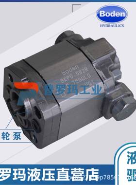 BODENBHP2.6B0/BHP2.6A1/BHP2.6A2DSR36/38/40/44-R齿轮泵