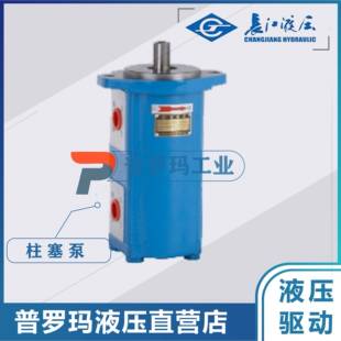 四川齿轮泵CBK1020/10-B2FR双联泵CBK1016/06-B1(3)FR