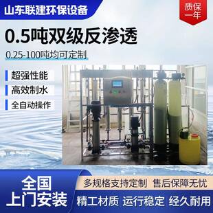 0.5吨RO双级反渗透设备工业纯水设备去离子过滤原纯净水器软水