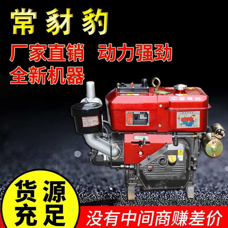 中国常州柴油机 船用农用单缸水冷R195小型发动机12马力电启动