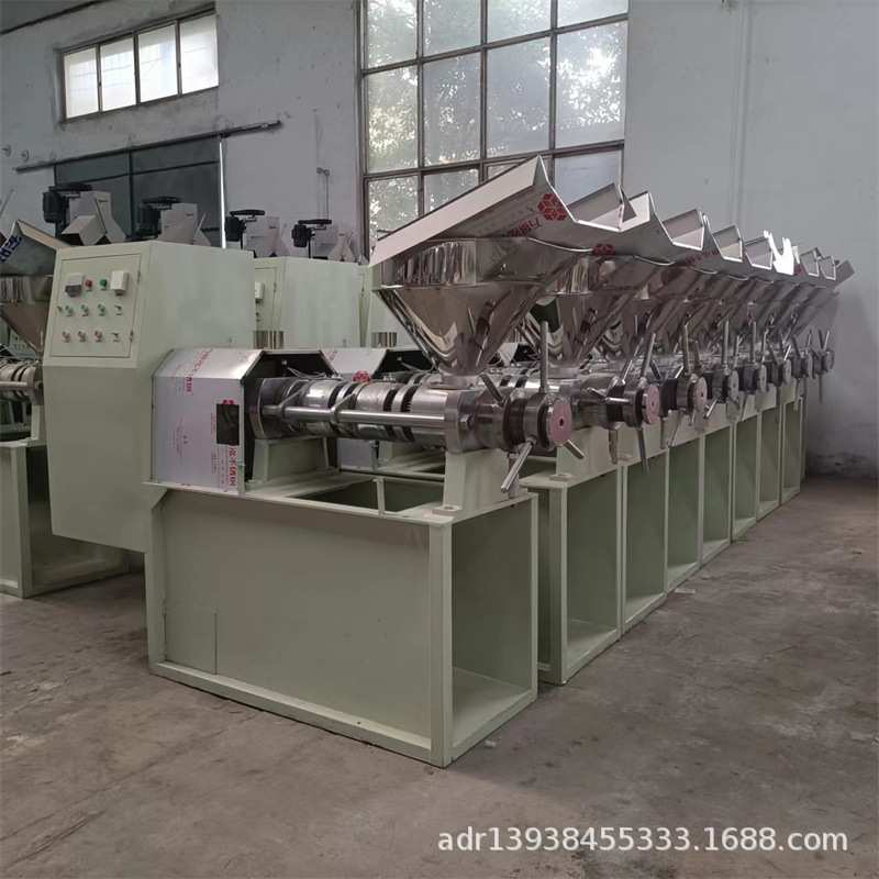 100型全自动榨油机花生加工食用油榨油机冷热用桐子红花籽榨油机
