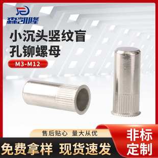 防水封闭拉铆螺母 厂家供应304不锈钢小沉头竖纹盲孔铆螺母