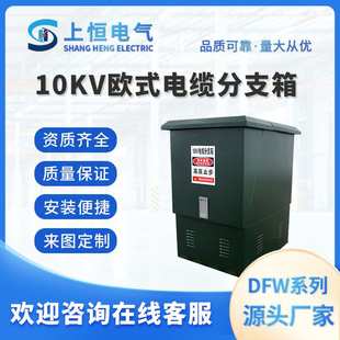 电缆分接箱一进二三四五出 厂家直销 电缆分支箱 高分箱 10kv欧式