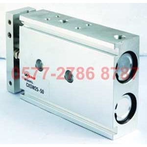 TDA WSNS 雙桿氣缸 TN20X10 100 山耐斯