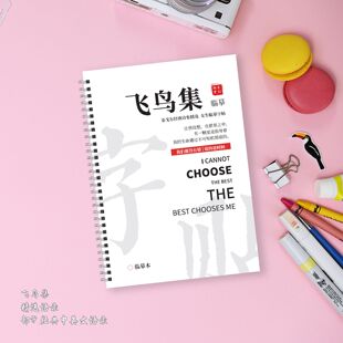 飞鸟集经典中英文字帖双语版瘦金体字帖柠檬体漂亮女生英语练字帖