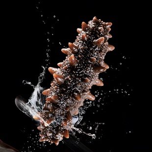 大连海参开袋即食包装袋正品官方旗舰店真空刺参辽参500g一斤