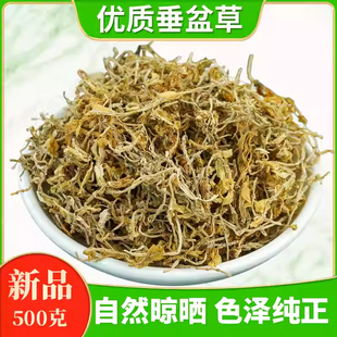 垂盆草中药材500g正品官方旗舰店肝护泡茶泡水垂盆草的功效与作用