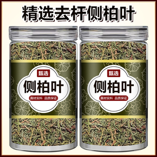 侧柏叶柏树叶干500g克中药材侧柏叶包邮香附子侧柏叶粉侧柏叶浮萍