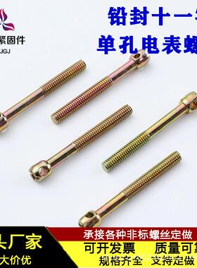GB832铅封带孔十一字电表螺丝 圆柱头复合槽两孔铅封螺栓M3M4M5M6