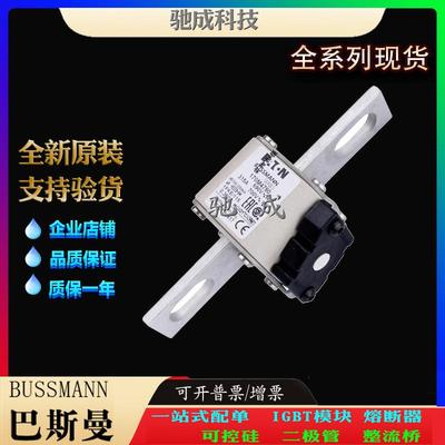 巴斯曼170M4715 170M4716 170M4717 厂价供应零售 方体熔断器