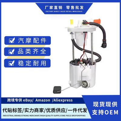 1293420,1106100-FK03汽车燃油泵总成适用Dongfeng Scenery S560