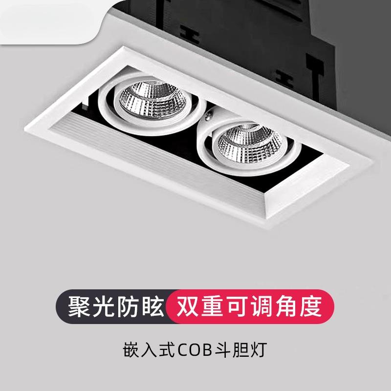 led斗胆灯长方形网格吊顶格栅灯嵌入式单头豆胆灯双头射灯cob聚光
