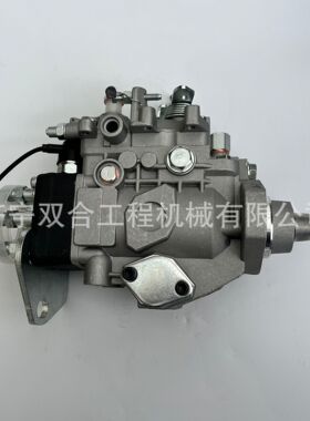 燃油柴油泵总成096000-4861 VE4/10F2200RND486 VE4/12F1150L954