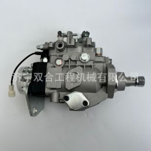 燃油柴油泵总成096000-4861 VE4/10F2200RND486 VE4/12F1150L954