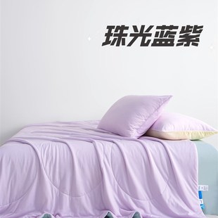小冰芯A类母婴高克重 锦纶凉感夏凉被空调被可机洗 聚酰胺纤维D