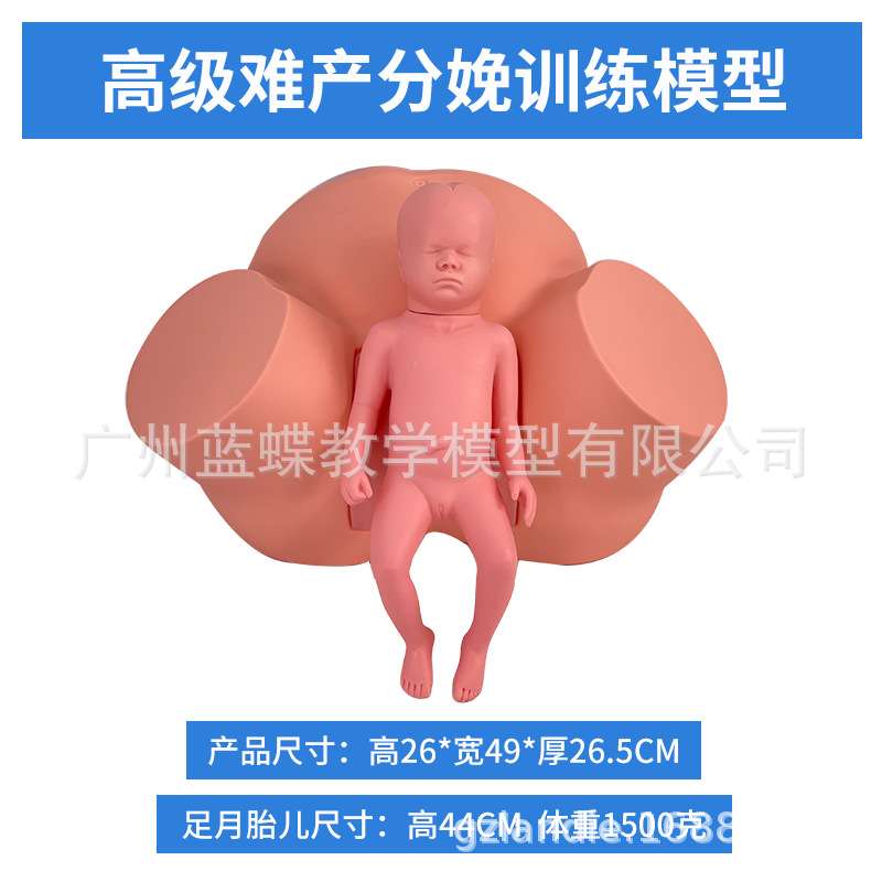 分娩示教模型 高级难产示教训练模型妇产科难产助产分娩教学模型
