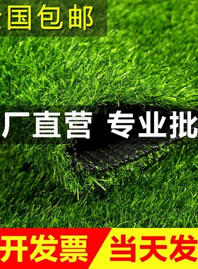 真草坪假草围挡塑l料绿植人工绿色人造垫草皮户外幼儿园装饰地新