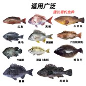 海钓船钓黑头鱼饵蜜m汁腌制鱼饵矶钓黑鲷真鲷泥猛筏钓黄蚬肉诱饵