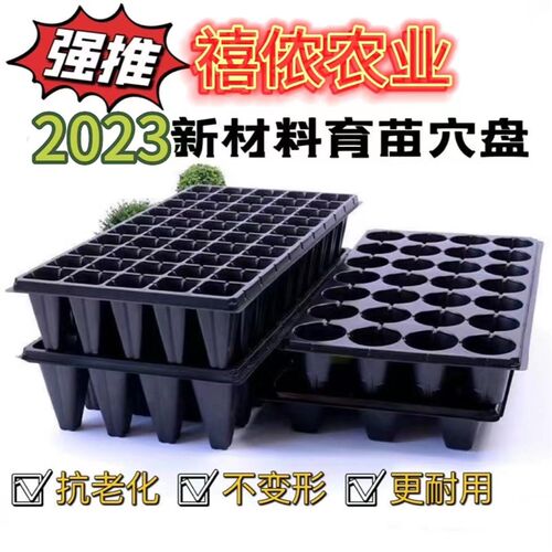 高脚育苗盘草莓月季樱桃林木加深加厚穴盘21孔L32孔5072营养育苗