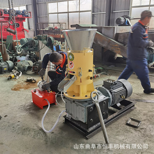 电厂锅炉燃料造粒设备 木材屑节能燃料颗粒机 生物质锯末颗粒机