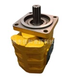 CBGJ2050工作泵 11C0041齿轮泵
