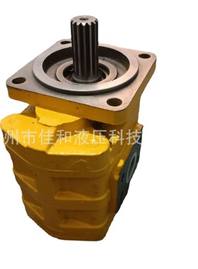 CBGJ2050工作泵    11C0041齿轮泵