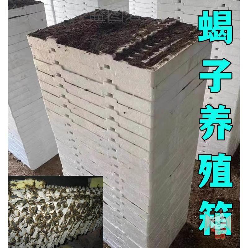 2026盒子工具蝎窝的蝎子人工蛋托蝎子养殖模具盒蝎房养养殖箱泡沫