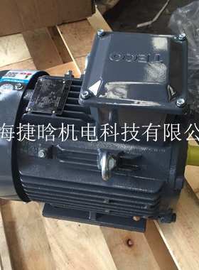 TECO东元电机三相异步马达25HP 18.5KW 4P AEEFF3 AEVFF3 IE2