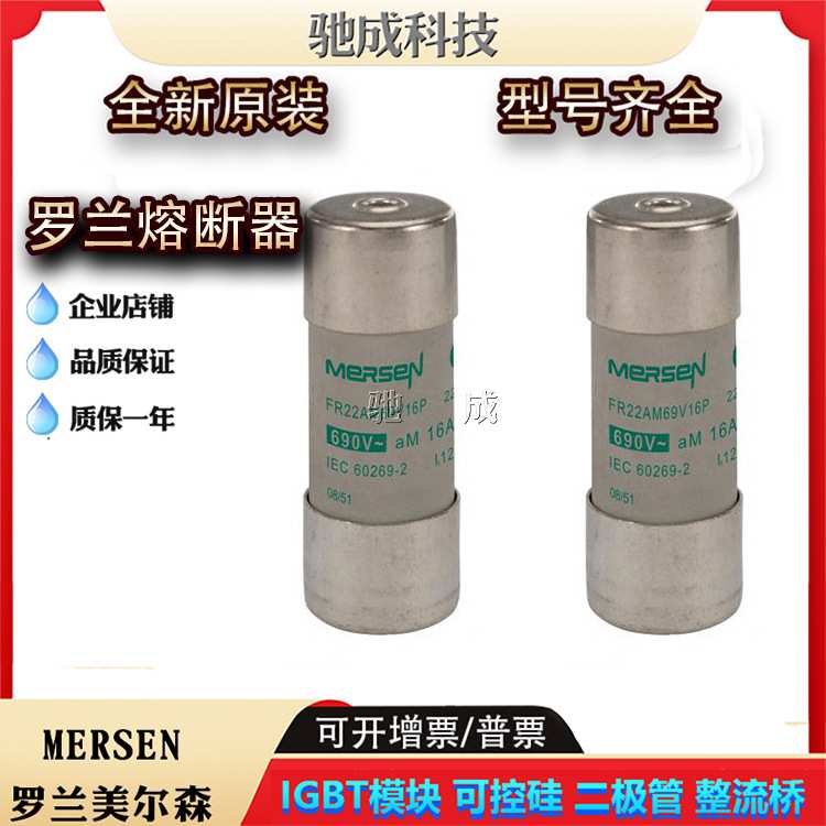 罗兰FR22AM69V12 FR22AM69V16 FR22AM69V20保险丝厂价供应 请咨询