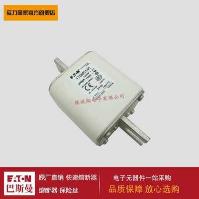 170M6148 6149 6150 6151 6016 6017 6018 6019 6020 6021熔断器