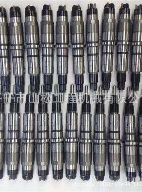 0445120121喷油器总成发动机共轨喷油嘴0445120389 0445120215