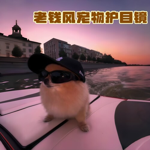 老钱风宠物护目镜狗狗兜风墨镜