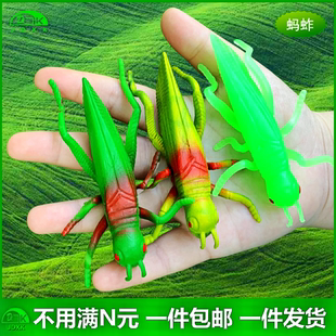 软胶仿真蚂蚱蜢蝗虫幼儿园儿童过家家玩具公开课教学昆虫动物模型