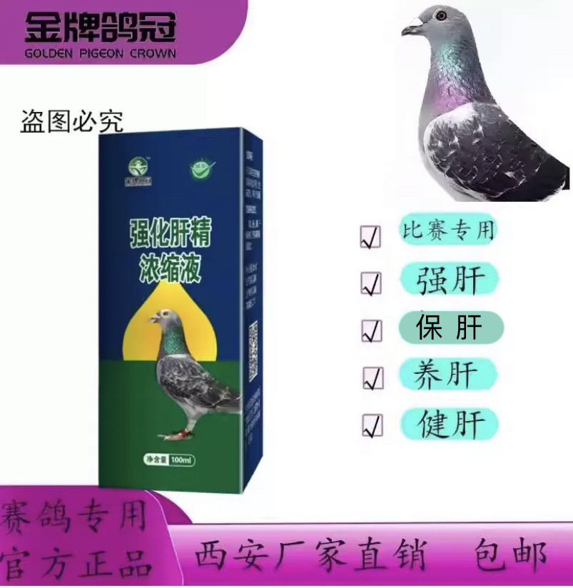 金牌鸽冠强化肝精浓缩液比赛专用强肝健肝养肝护肝赛鸽信鸽专用