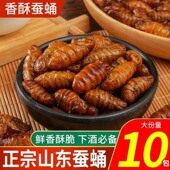 香酥蚕蛹熟食零食批下酒菜开袋即食麻辣五香山东特产新鲜茧蛹油炸