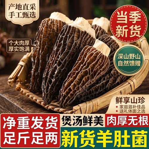山珍之王羊肚菌，高蛋白低脂肪，鲜香脆嫩