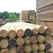 防腐木立柱户外原木木方横梁圆木室外地H板枕木垫木圆柱房梁横梁