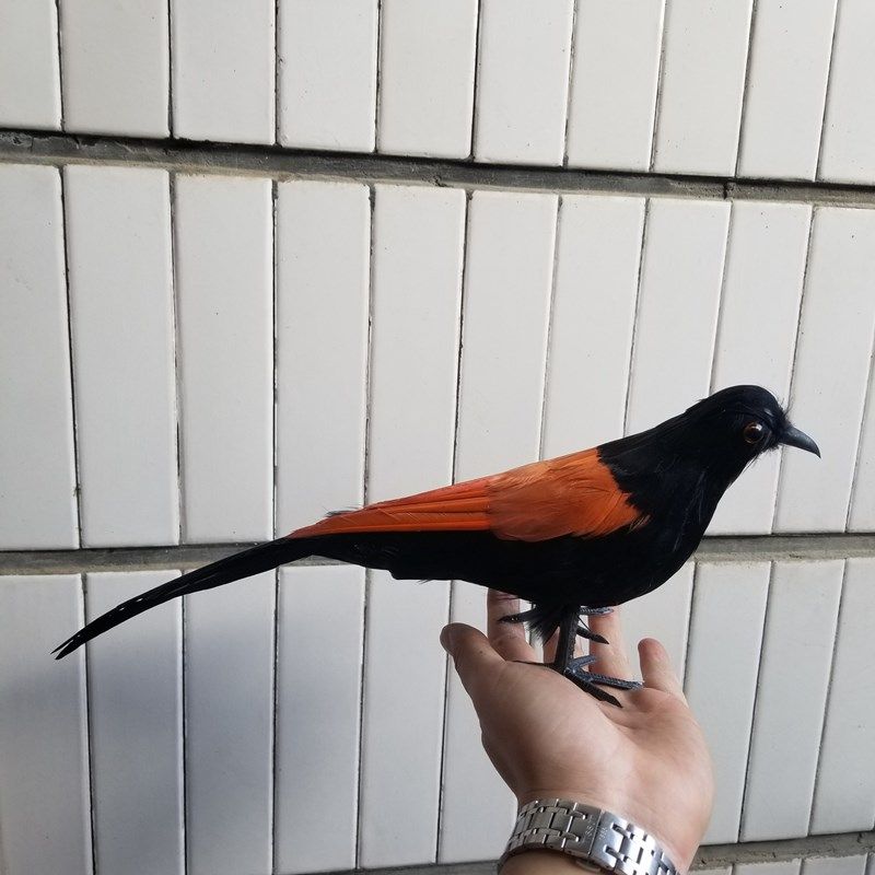 仿真红毛鸡户外庭院装饰r品流水工艺品场景布局小摆件教学演示道,家居饰品,户外/庭院摆件,淘宝优惠券,粉丝福利购,淘宝优惠卷