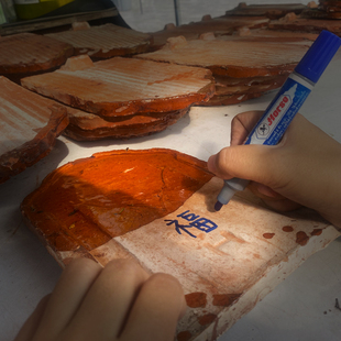 泰国佛牌 拾 四面掩面崇迪坤平M南帕亚链子项链吊坠