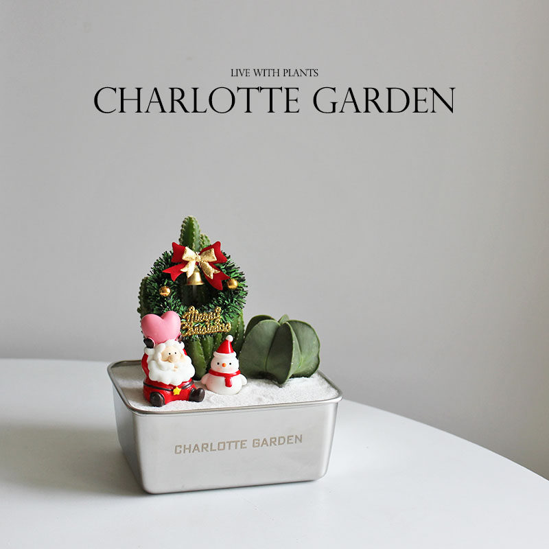 夏洛特花园 仙人掌 多肉植物 防辐射 圣诞礼R物 圣诞创意小礼品,鲜花速递/花卉仿真/绿植园艺,多肉植物,淘宝优惠券,粉丝福利购,淘宝优惠卷