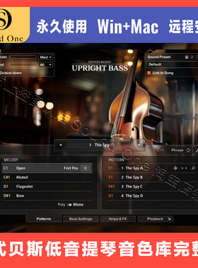 Session Bassist Upright Bass 立式贝斯低音提琴音色 完整版音源