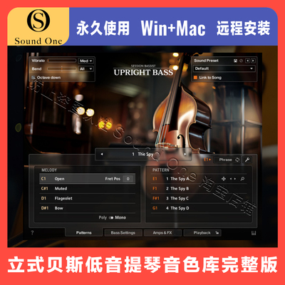 立式贝斯低音提琴音色康泰克音源