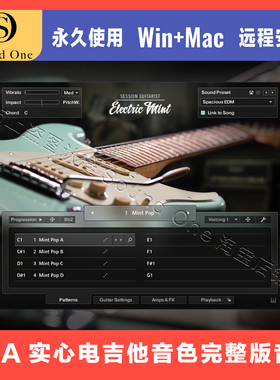 Session Guitarist Electric Mint USA实心电吉他音色 康泰克音源