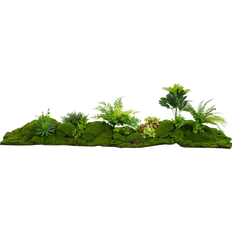 仿真绿植造景g组合室内玄关角落蕨类植物装饰橱柜仿生苔藓景观布